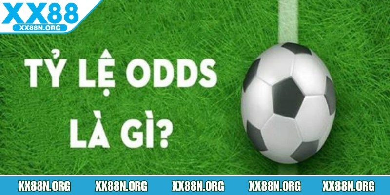 Ghi chú, phân tích giúp nâng cao hiệu quả đặt cược dài hạn